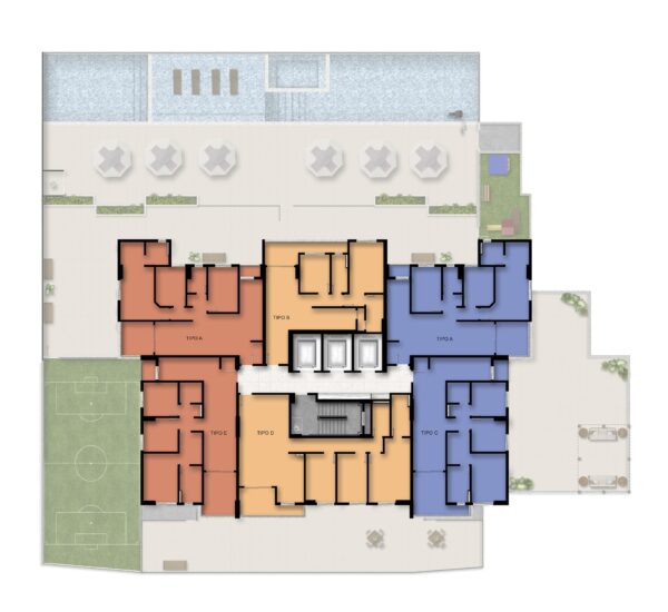 Planta calunga